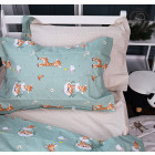 Різнокольоровий