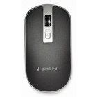 Чорний з сріблястим