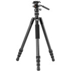 Темно-сірий