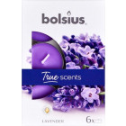 Фиолетовый