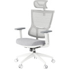 Білий з сірим