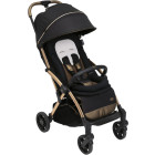 Чорний із золотим