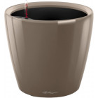 Сіро-коричневий