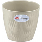 Світло-бежевий