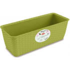 Фісташковий