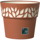 Теракотовий