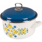 Желто-голубой