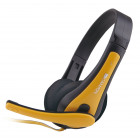 Чорний з жовтим