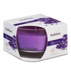 Фиолетовый