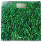 Кольоровий малюнок