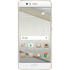 Золотистый