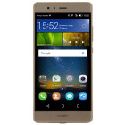 Золотистый