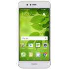 Золотистый