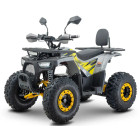 Серый с желтым