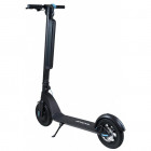 Чорно-блакитний