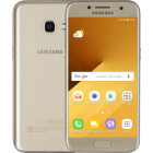 Золотистый