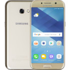 Золотистый